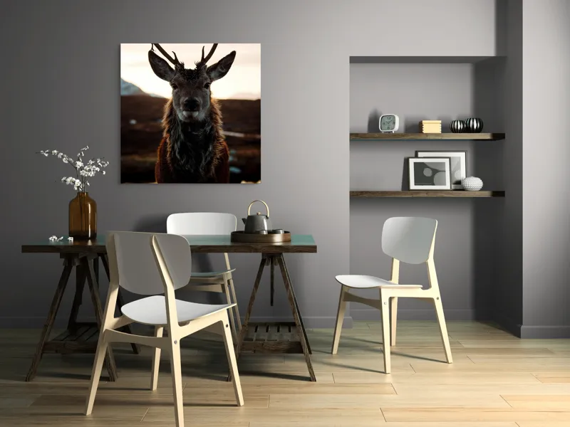 Tablou Canvas, "Cerbul măreț în lumina apusului", Nu pot să identific cine este în imagine., 100 x 100 cm – poza 6