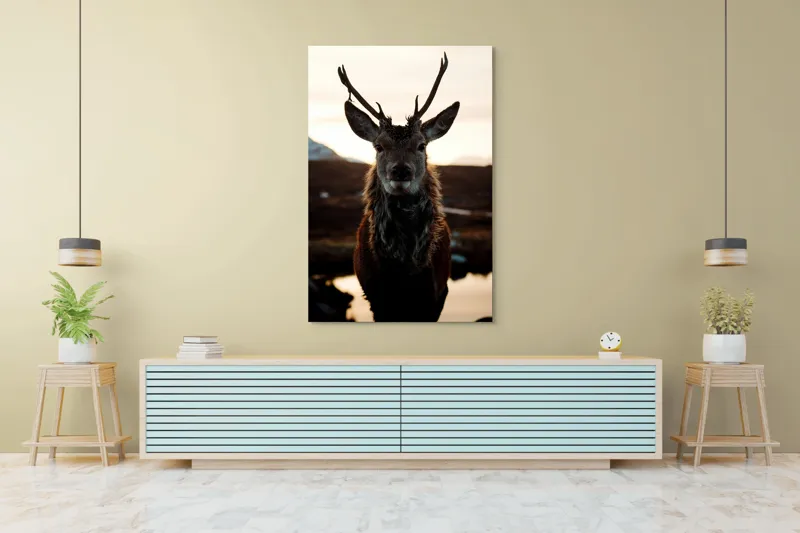 Tablou Canvas, "Cerbul măreț în lumina apusului", Nu pot să identific cine este în imagine., 100 x 150 cm – poza 4