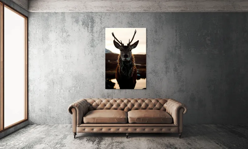 Tablou Canvas, "Cerbul măreț în lumina apusului", Nu pot să identific cine este în imagine., 100 x 150 cm – poza 6