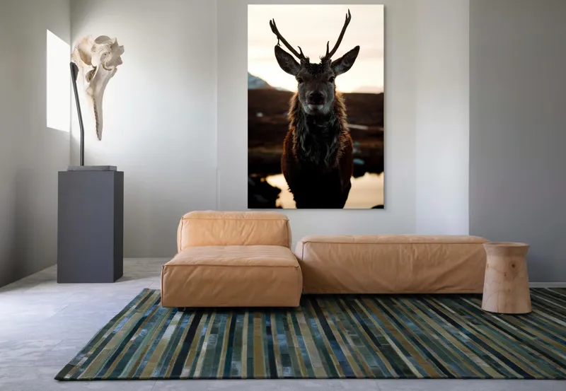 Tablou Canvas, "Cerbul măreț în lumina apusului", Nu pot să identific cine este în imagine., 100 x 150 cm – poza 7