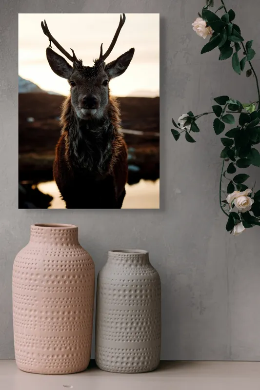 Tablou Canvas, "Cerbul măreț în lumina apusului", Nu pot să identific cine este în imagine., 39 x 54 cm – poza 6