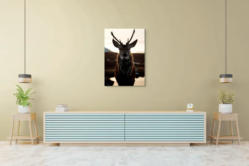Tablou Canvas, "Cerbul măreț în lumina apusului", Nu pot să identific cine este în imagine., 70 x 100 cm – poza 5