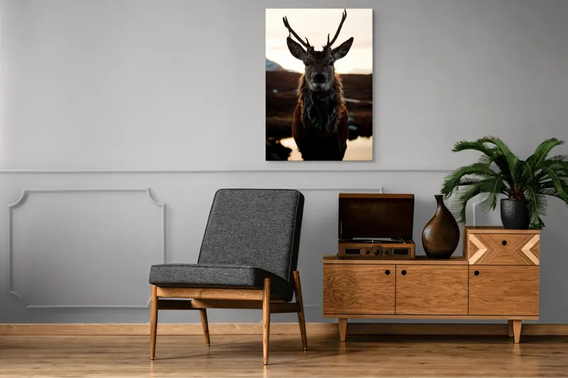 Tablou Canvas, "Cerbul măreț în lumina apusului", Nu pot să identific cine este în imagine., 70 x 100 cm – poza 6