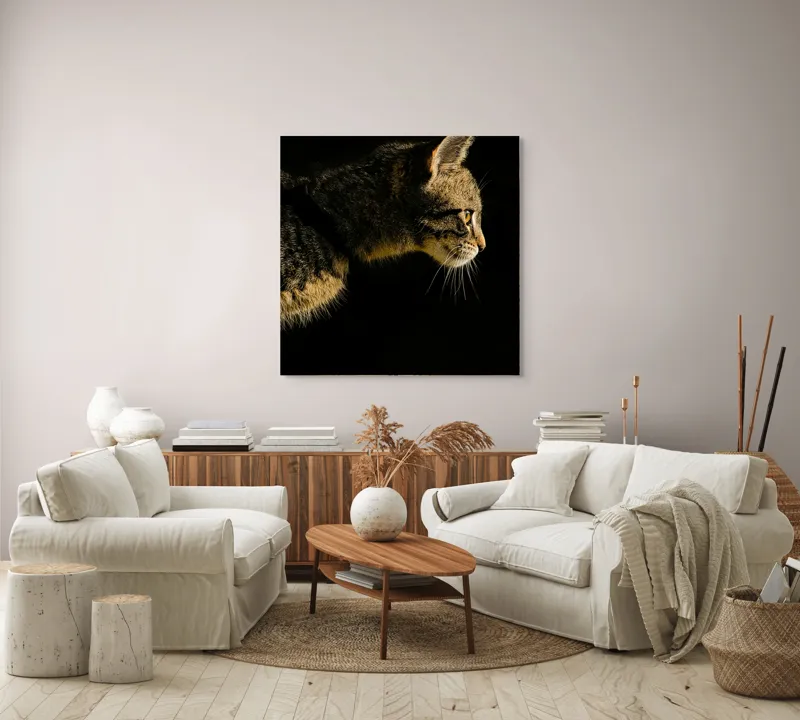 Tablou Canvas, "Profil de pisică în lumină misterioasă", Întuneric, Pisică, Profil, Blană, Mustăți, Iluminare, Contrast, Observare, Noapte, Siluetă, 100 x 100 cm – poza 3
