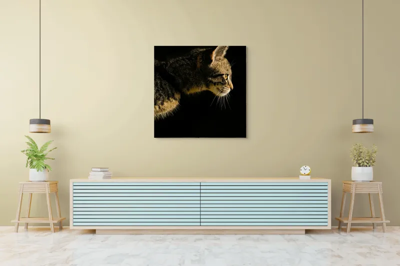 Tablou Canvas, "Profil de pisică în lumină misterioasă", Întuneric, Pisică, Profil, Blană, Mustăți, Iluminare, Contrast, Observare, Noapte, Siluetă, 100 x 100 cm – poza 5