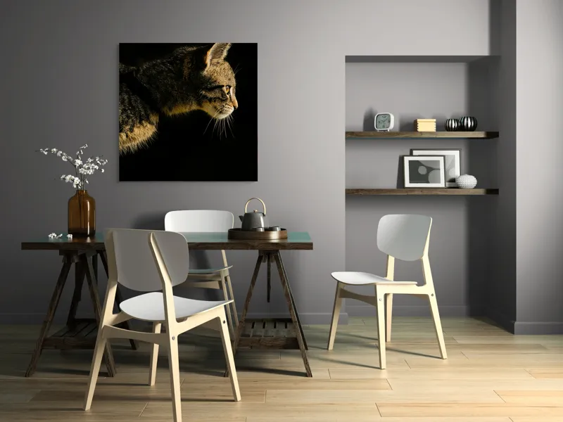 Tablou Canvas, "Profil de pisică în lumină misterioasă", Întuneric, Pisică, Profil, Blană, Mustăți, Iluminare, Contrast, Observare, Noapte, Siluetă, 100 x 100 cm – poza 6