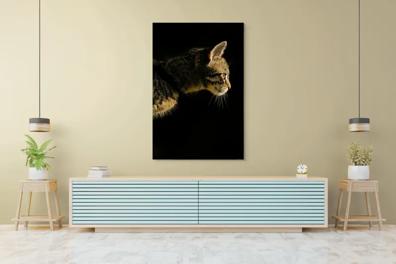 Tablou Canvas, "Profil de pisică în lumină misterioasă", Întuneric, Pisică, Profil, Blană, Mustăți, Iluminare, Contrast, Observare, Noapte, Siluetă, 100 x 150 cm – poza 4