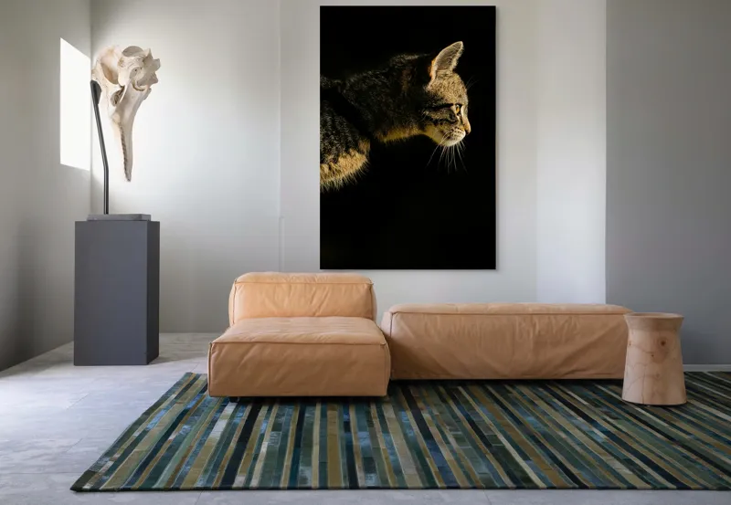 Tablou Canvas, "Profil de pisică în lumină misterioasă", Întuneric, Pisică, Profil, Blană, Mustăți, Iluminare, Contrast, Observare, Noapte, Siluetă, 100 x 150 cm – poza 7