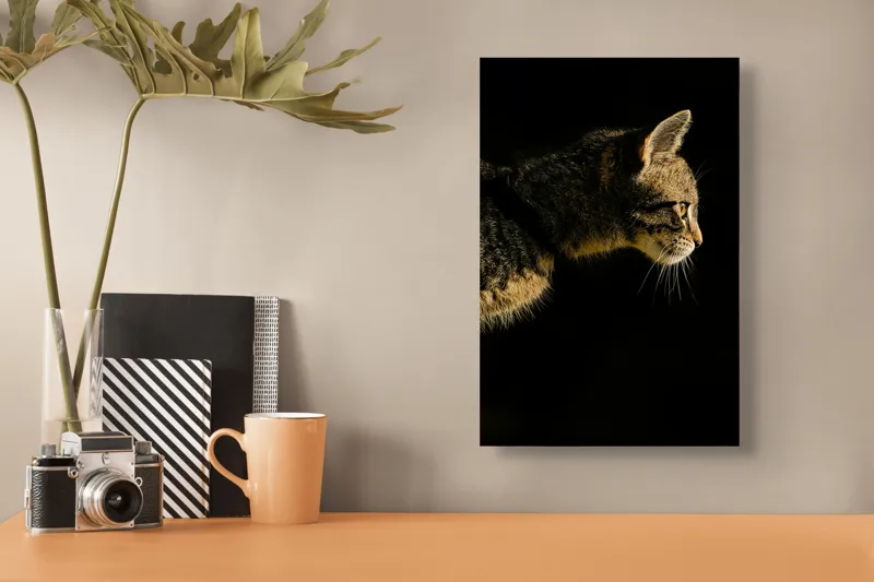 Tablou Canvas, "Profil de pisică în lumină misterioasă", Întuneric, Pisică, Profil, Blană, Mustăți, Iluminare, Contrast, Observare, Noapte, Siluetă, 26 x 39 cm – poza 3