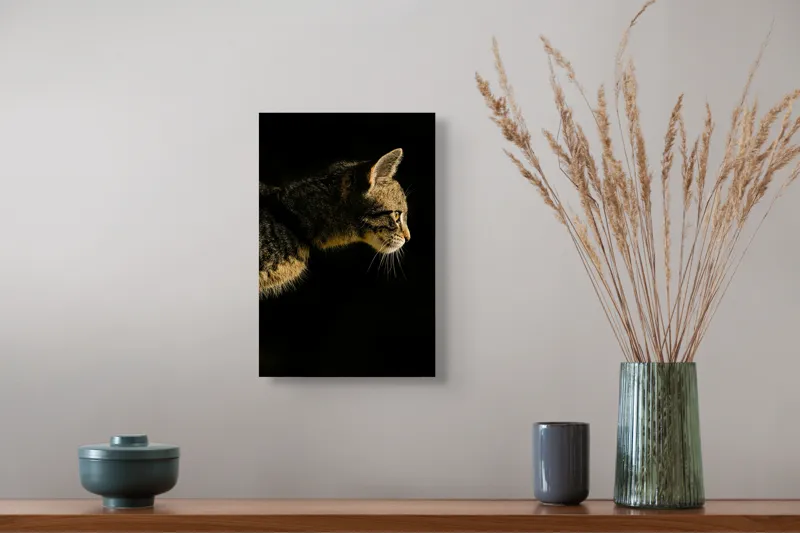 Tablou Canvas, "Profil de pisică în lumină misterioasă", Întuneric, Pisică, Profil, Blană, Mustăți, Iluminare, Contrast, Observare, Noapte, Siluetă, 26 x 39 cm – poza 5
