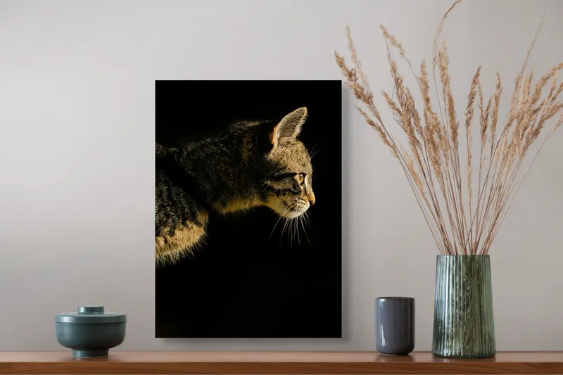 Tablou Canvas, "Profil de pisică în lumină misterioasă", Întuneric, Pisică, Profil, Blană, Mustăți, Iluminare, Contrast, Observare, Noapte, Siluetă, 39 x 54 cm – poza 3