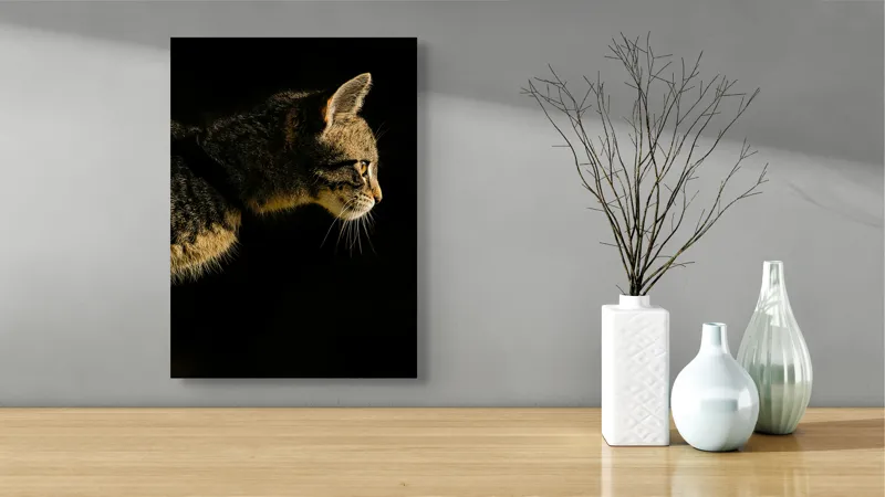 Tablou Canvas, "Profil de pisică în lumină misterioasă", Întuneric, Pisică, Profil, Blană, Mustăți, Iluminare, Contrast, Observare, Noapte, Siluetă, 39 x 54 cm – poza 4