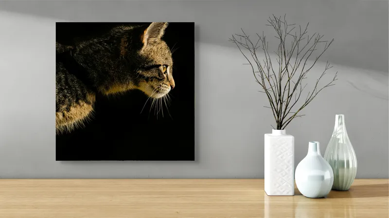 Tablou Canvas, "Profil de pisică în lumină misterioasă", Întuneric, Pisică, Profil, Blană, Mustăți, Iluminare, Contrast, Observare, Noapte, Siluetă, 50 x 50 cm – poza 3