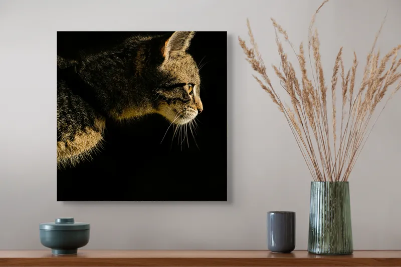Tablou Canvas, "Profil de pisică în lumină misterioasă", Întuneric, Pisică, Profil, Blană, Mustăți, Iluminare, Contrast, Observare, Noapte, Siluetă, 50 x 50 cm – poza 4