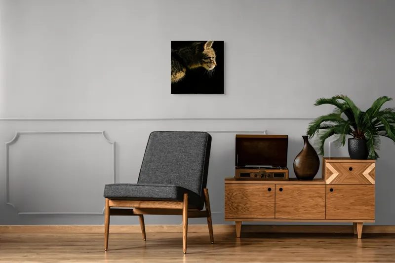 Tablou Canvas, "Profil de pisică în lumină misterioasă", Întuneric, Pisică, Profil, Blană, Mustăți, Iluminare, Contrast, Observare, Noapte, Siluetă, 50 x 50 cm – poza 6