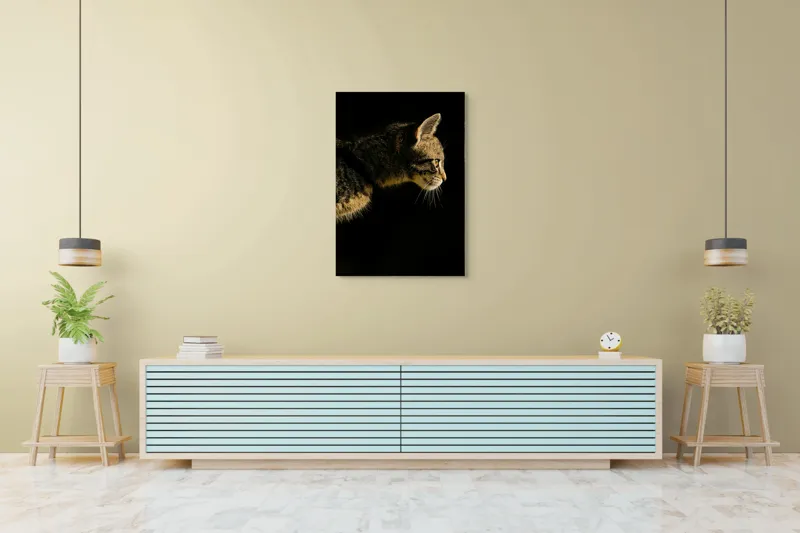 Tablou Canvas, "Profil de pisică în lumină misterioasă", Întuneric, Pisică, Profil, Blană, Mustăți, Iluminare, Contrast, Observare, Noapte, Siluetă, 70 x 100 cm – poza 5