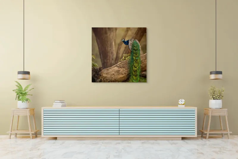 Tablou Canvas, "Păunul pe trunchiul bătrân al copacului", Splendoare, Culoare, Natură, Păun, Pădure, Măreție, Serenitate, Eleganță, Frumusețe, Viață, 100 x 100 cm – poza 5