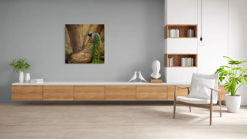 Tablou Canvas, "Păunul pe trunchiul bătrân al copacului", Splendoare, Culoare, Natură, Păun, Pădure, Măreție, Serenitate, Eleganță, Frumusețe, Viață, 100 x 100 cm – poza 8
