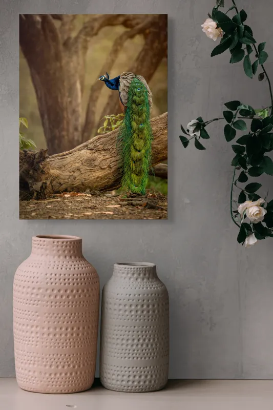 Tablou Canvas, "Păunul pe trunchiul bătrân al copacului", Splendoare, Culoare, Natură, Păun, Pădure, Măreție, Serenitate, Eleganță, Frumusețe, Viață, 39 x 54 cm – poza 6