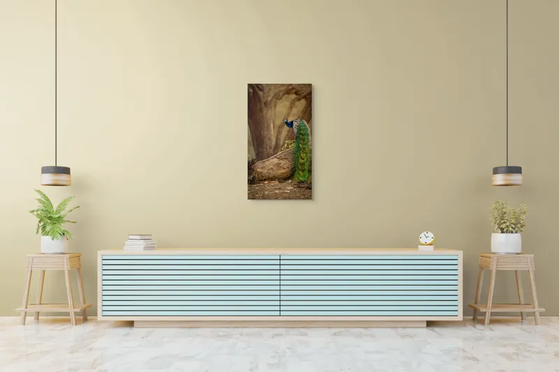 Tablou Canvas, "Păunul pe trunchiul bătrân al copacului", Splendoare, Culoare, Natură, Păun, Pădure, Măreție, Serenitate, Eleganță, Frumusețe, Viață, 50 x 90 cm – poza 6