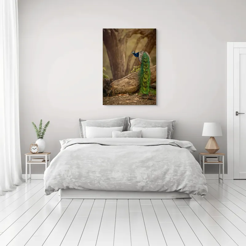 Tablou Canvas, "Păunul pe trunchiul bătrân al copacului", Splendoare, Culoare, Natură, Păun, Pădure, Măreție, Serenitate, Eleganță, Frumusețe, Viață, 70 x 100 cm – poza 3