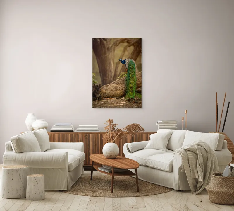 Tablou Canvas, "Păunul pe trunchiul bătrân al copacului", Splendoare, Culoare, Natură, Păun, Pădure, Măreție, Serenitate, Eleganță, Frumusețe, Viață, 70 x 100 cm – poza 4