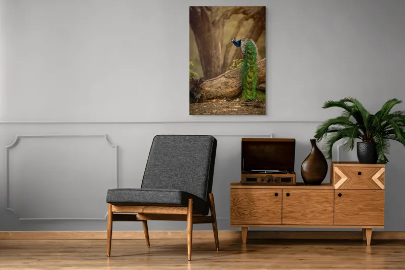 Tablou Canvas, "Păunul pe trunchiul bătrân al copacului", Splendoare, Culoare, Natură, Păun, Pădure, Măreție, Serenitate, Eleganță, Frumusețe, Viață, 70 x 100 cm – poza 6