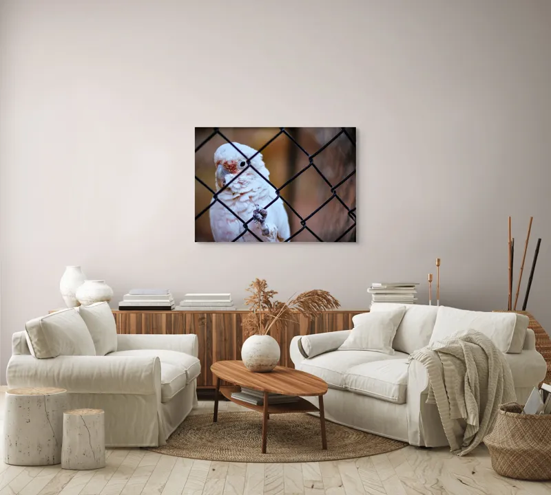 Tablou Canvas, "Papagal zăbovind dincolo de garduri", Papagal, Alb, Ochi, Plasă, Pană, Cercei, Fundal, Gri, 100 x 70 cm – poza 3