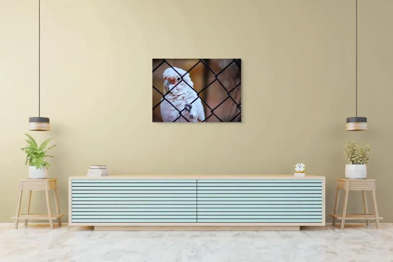 Tablou Canvas, "Papagal zăbovind dincolo de garduri", Papagal, Alb, Ochi, Plasă, Pană, Cercei, Fundal, Gri, 100 x 70 cm – poza 4