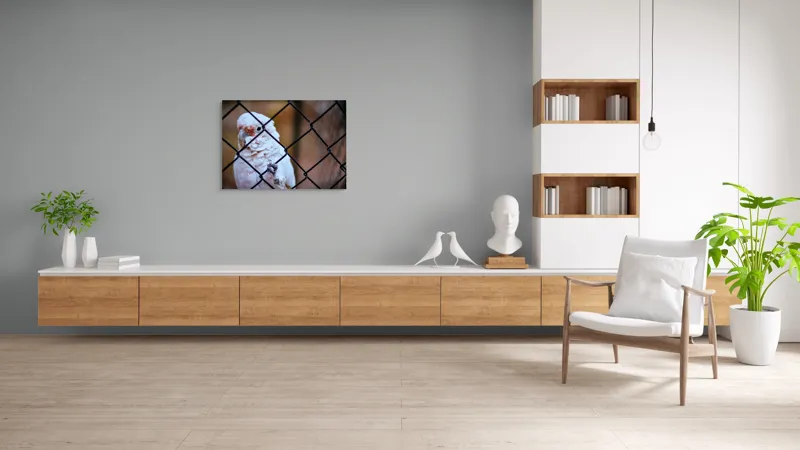 Tablou Canvas, "Papagal zăbovind dincolo de garduri", Papagal, Alb, Ochi, Plasă, Pană, Cercei, Fundal, Gri, 100 x 70 cm – poza 6