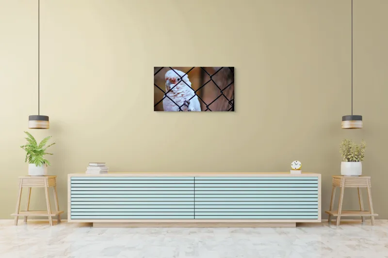Tablou Canvas, "Papagal zăbovind dincolo de garduri", Papagal, Alb, Ochi, Plasă, Pană, Cercei, Fundal, Gri, 90 x 50 cm – poza 5