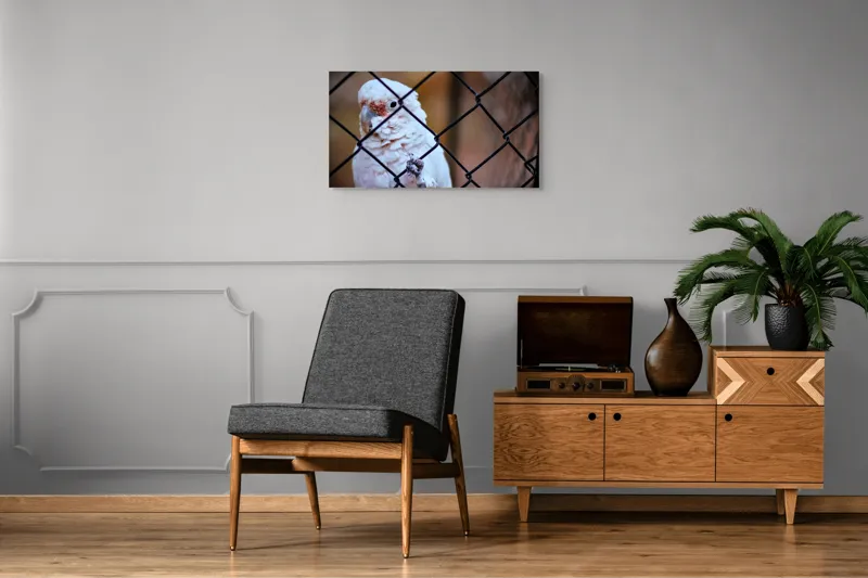 Tablou Canvas, "Papagal zăbovind dincolo de garduri", Papagal, Alb, Ochi, Plasă, Pană, Cercei, Fundal, Gri, 90 x 50 cm – poza 6