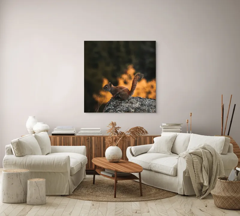 Tablou Canvas, "Veverița pe stâncă la apus", Veveriță, Copac, Pământ, Blană, Lumină, Natură, Toamnă, Stâncă, Coadă, Jucăușă, 100 x 100 cm – poza 3