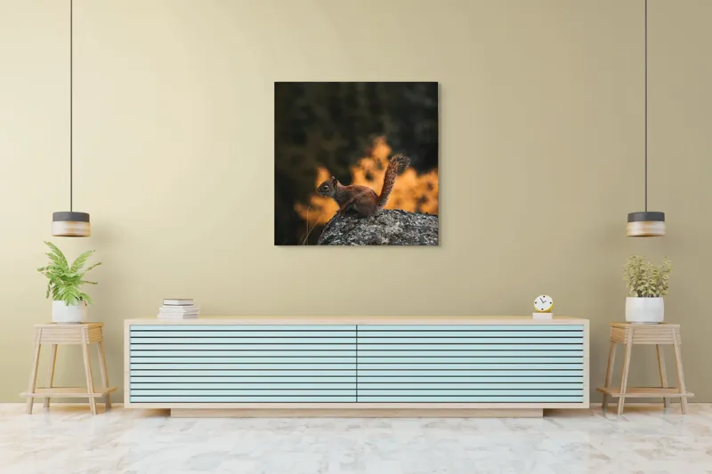 Tablou Canvas, "Veverița pe stâncă la apus", Veveriță, Copac, Pământ, Blană, Lumină, Natură, Toamnă, Stâncă, Coadă, Jucăușă, 100 x 100 cm – poza 5