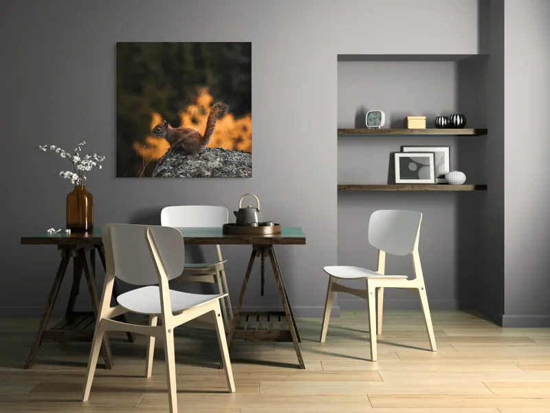 Tablou Canvas, "Veverița pe stâncă la apus", Veveriță, Copac, Pământ, Blană, Lumină, Natură, Toamnă, Stâncă, Coadă, Jucăușă, 100 x 100 cm – poza 6