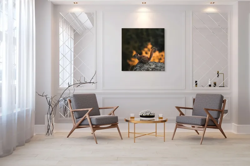 Tablou Canvas, "Veverița pe stâncă la apus", Veveriță, Copac, Pământ, Blană, Lumină, Natură, Toamnă, Stâncă, Coadă, Jucăușă, 100 x 100 cm – poza 7