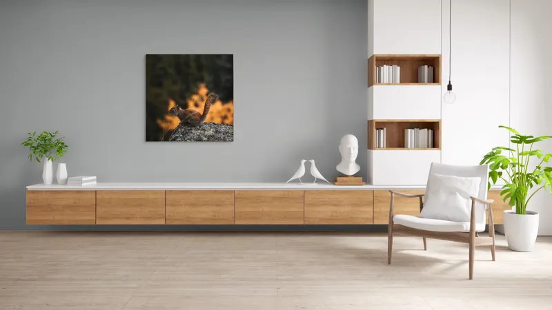 Tablou Canvas, "Veverița pe stâncă la apus", Veveriță, Copac, Pământ, Blană, Lumină, Natură, Toamnă, Stâncă, Coadă, Jucăușă, 100 x 100 cm – poza 8