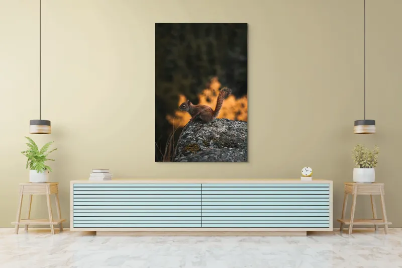 Tablou Canvas, "Veverița pe stâncă la apus", Veveriță, Copac, Pământ, Blană, Lumină, Natură, Toamnă, Stâncă, Coadă, Jucăușă, 100 x 150 cm – poza 4