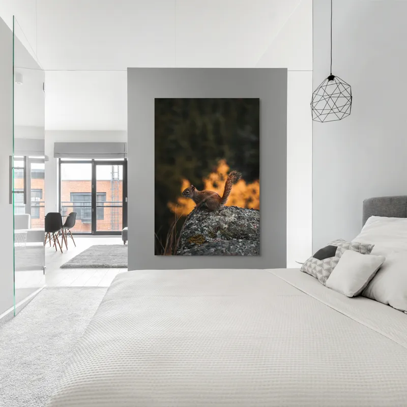 Tablou Canvas, "Veverița pe stâncă la apus", Veveriță, Copac, Pământ, Blană, Lumină, Natură, Toamnă, Stâncă, Coadă, Jucăușă, 100 x 150 cm – poza 5