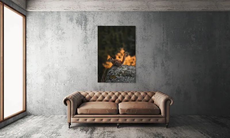 Tablou Canvas, "Veverița pe stâncă la apus", Veveriță, Copac, Pământ, Blană, Lumină, Natură, Toamnă, Stâncă, Coadă, Jucăușă, 100 x 150 cm – poza 6