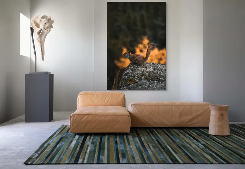 Tablou Canvas, "Veverița pe stâncă la apus", Veveriță, Copac, Pământ, Blană, Lumină, Natură, Toamnă, Stâncă, Coadă, Jucăușă, 100 x 150 cm – poza 7