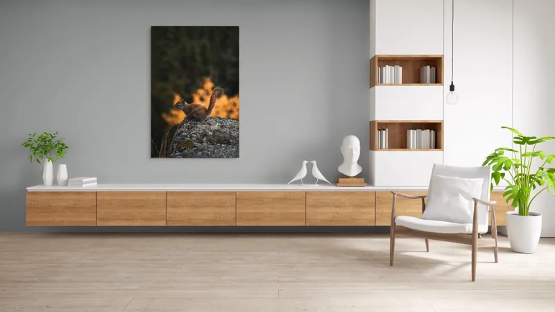 Tablou Canvas, "Veverița pe stâncă la apus", Veveriță, Copac, Pământ, Blană, Lumină, Natură, Toamnă, Stâncă, Coadă, Jucăușă, 100 x 150 cm – poza 8