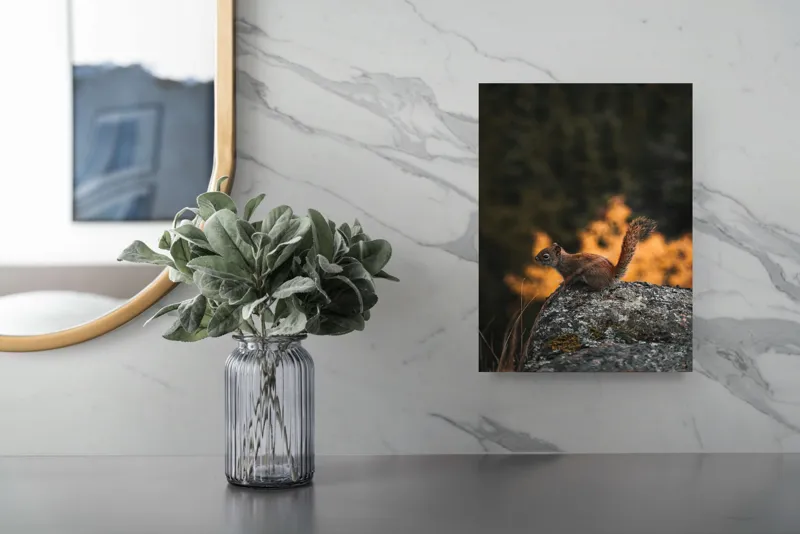 Tablou Canvas, "Veverița pe stâncă la apus", Veveriță, Copac, Pământ, Blană, Lumină, Natură, Toamnă, Stâncă, Coadă, Jucăușă, 26 x 39 cm – poza 4