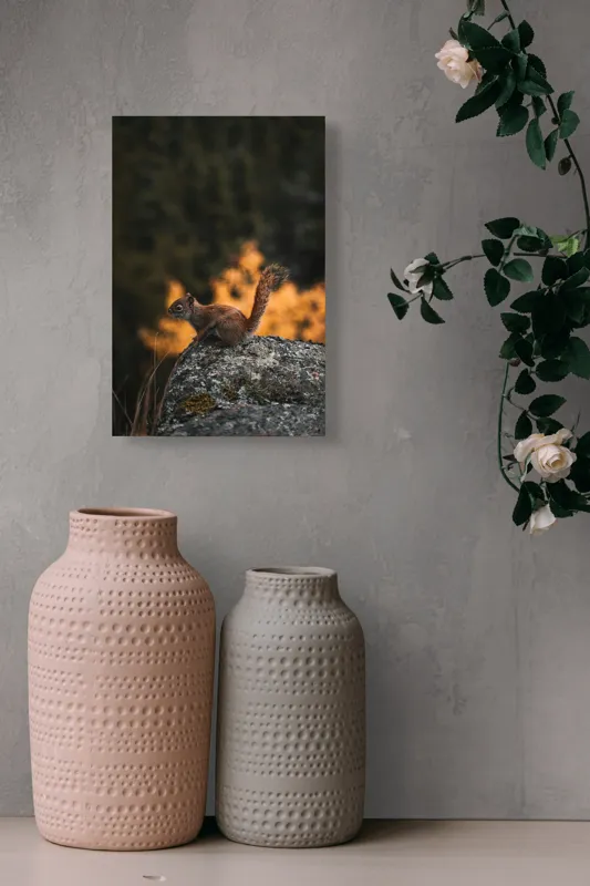 Tablou Canvas, "Veverița pe stâncă la apus", Veveriță, Copac, Pământ, Blană, Lumină, Natură, Toamnă, Stâncă, Coadă, Jucăușă, 26 x 39 cm – poza 6