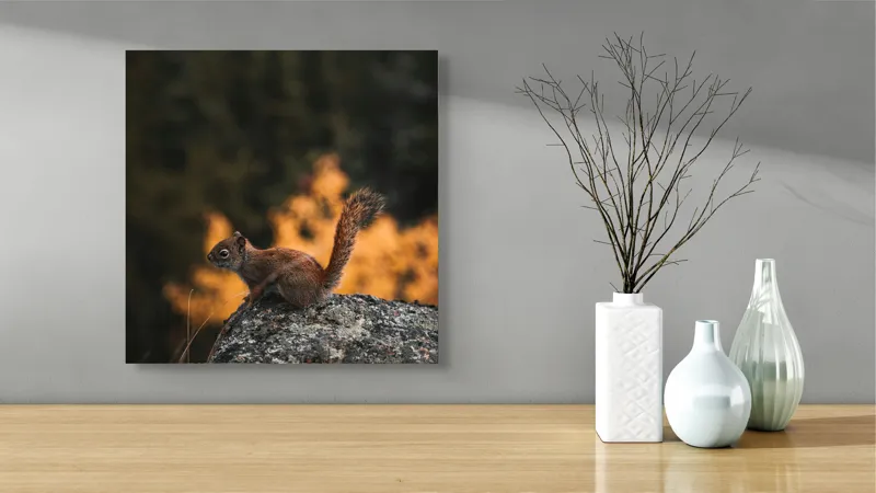 Tablou Canvas, "Veverița pe stâncă la apus", Veveriță, Copac, Pământ, Blană, Lumină, Natură, Toamnă, Stâncă, Coadă, Jucăușă, 50 x 50 cm – poza 3