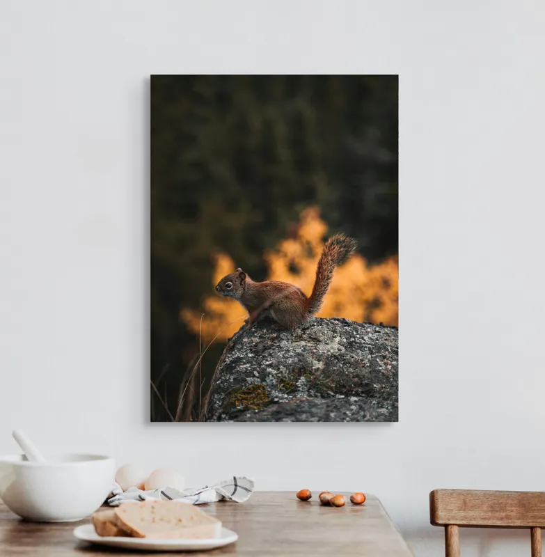 Tablou Canvas, "Veverița pe stâncă la apus", Veveriță, Copac, Pământ, Blană, Lumină, Natură, Toamnă, Stâncă, Coadă, Jucăușă, 50 x 70 cm – poza 3