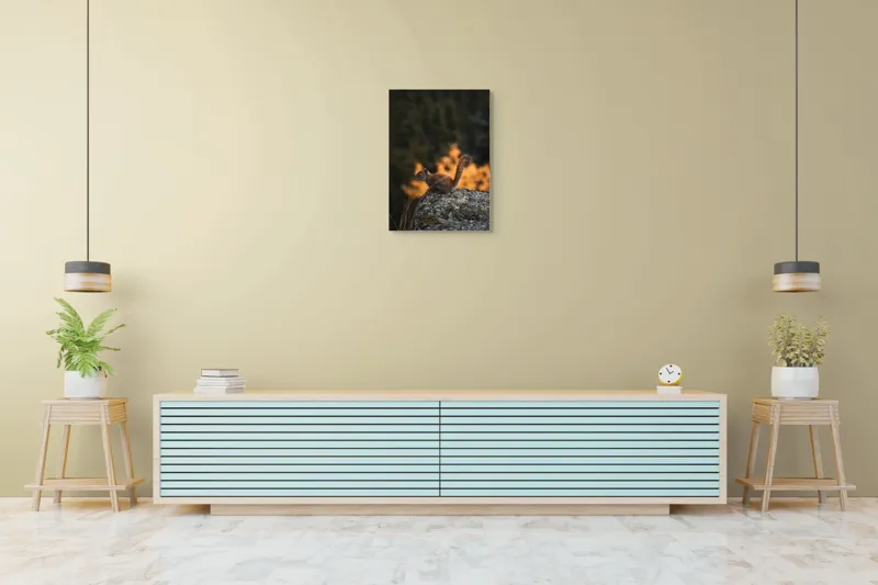 Tablou Canvas, "Veverița pe stâncă la apus", Veveriță, Copac, Pământ, Blană, Lumină, Natură, Toamnă, Stâncă, Coadă, Jucăușă, 50 x 70 cm – poza 6