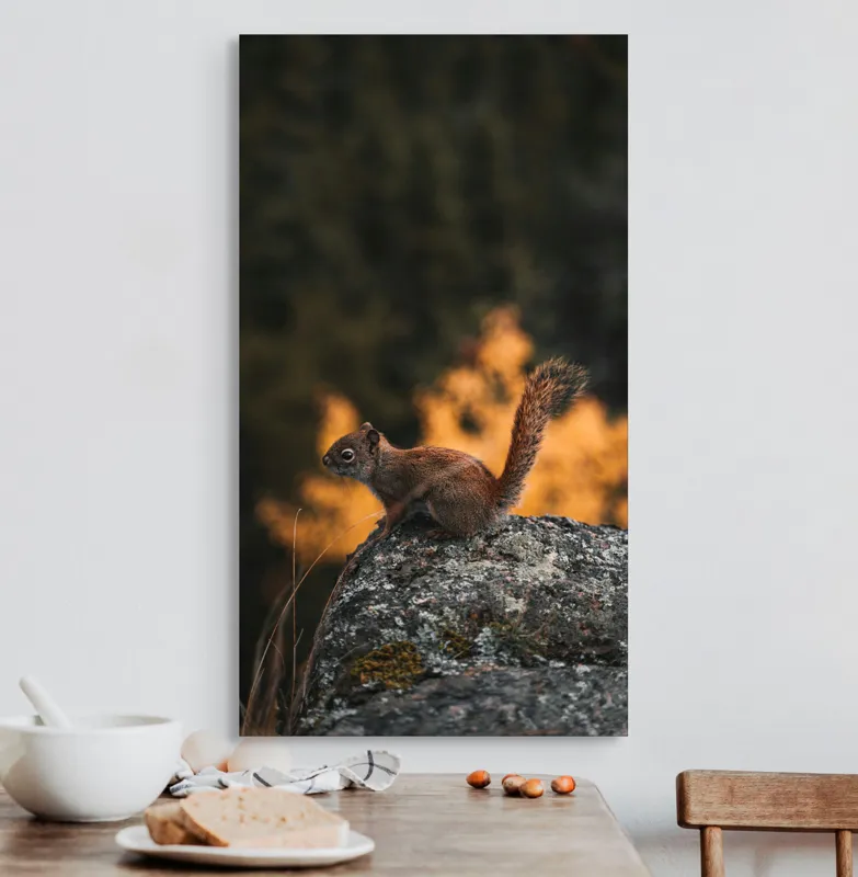 Tablou Canvas, "Veverița pe stâncă la apus", Veveriță, Copac, Pământ, Blană, Lumină, Natură, Toamnă, Stâncă, Coadă, Jucăușă, 50 x 90 cm – poza 3