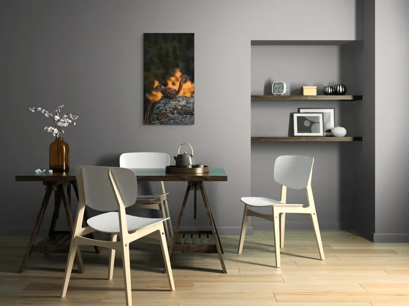 Tablou Canvas, "Veverița pe stâncă la apus", Veveriță, Copac, Pământ, Blană, Lumină, Natură, Toamnă, Stâncă, Coadă, Jucăușă, 50 x 90 cm – poza 4