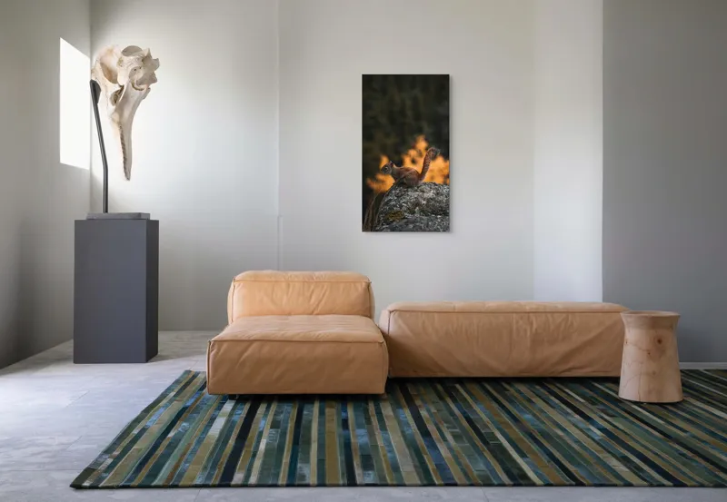 Tablou Canvas, "Veverița pe stâncă la apus", Veveriță, Copac, Pământ, Blană, Lumină, Natură, Toamnă, Stâncă, Coadă, Jucăușă, 50 x 90 cm – poza 5